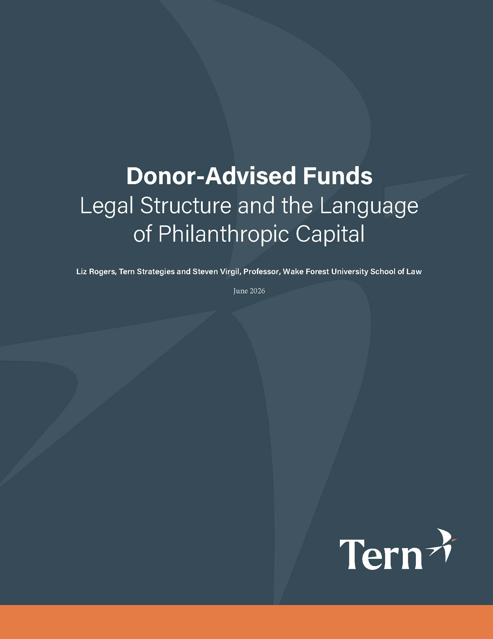 Featured image for “New! Donor-Advised Funds, Legal Structure, and the Language of Philanthropic Capital”